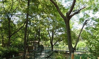 柳原千草園