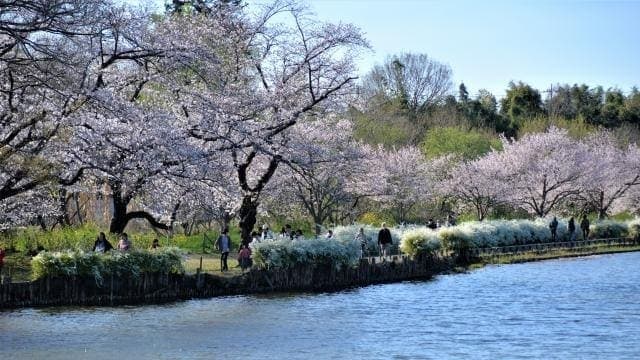 上尾丸山公園