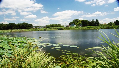 黒沼浜