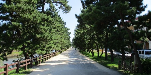草加松原遊歩道