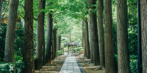 太田黒公園
