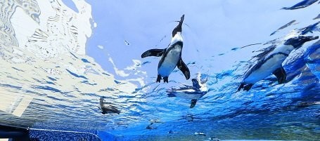 池袋サンシャイン水族館