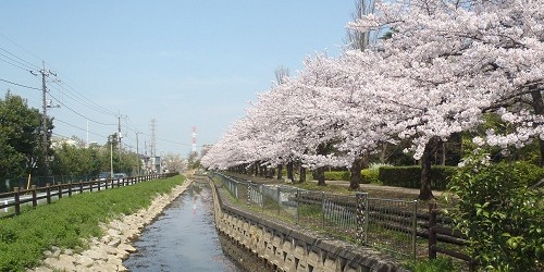 八条親水公園